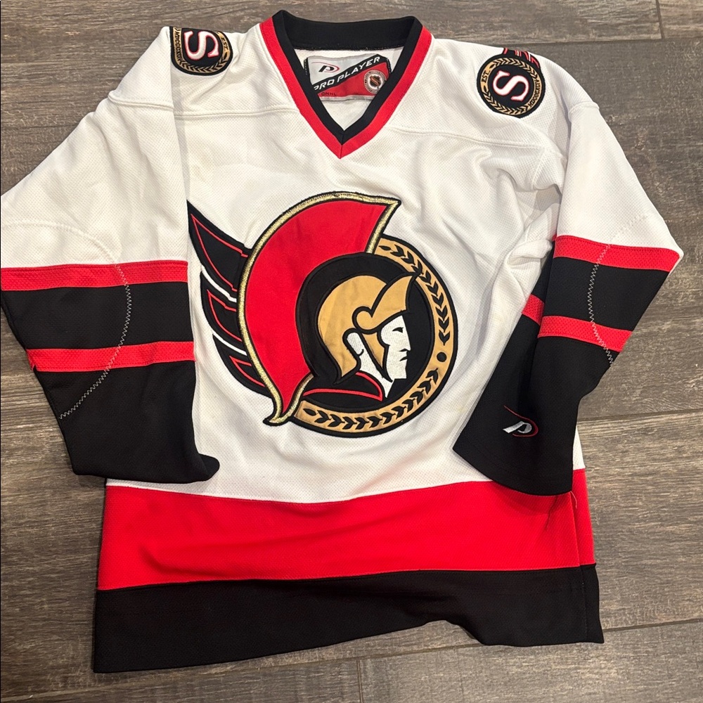 Pro Player NHL Jersey with Red and Black Accents